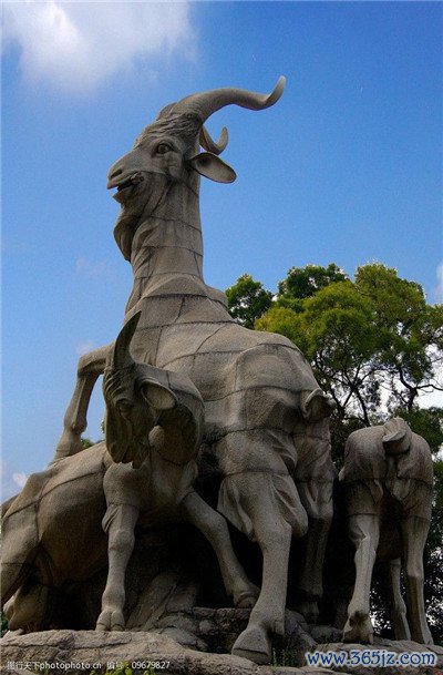  丰富多样的休闲体验 
